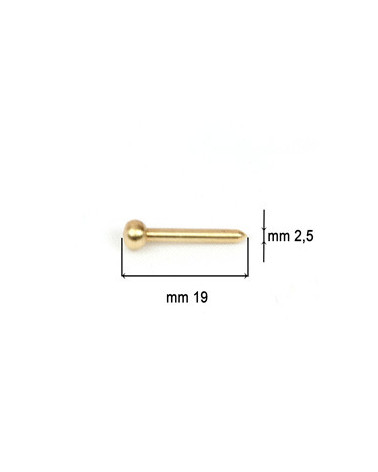BELLOWS PIN ROUND HEAD, BRASS FINISH MM 19