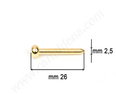 SPILLI OTT. DORATI - TESTA TONDA MM 2.5 x 26