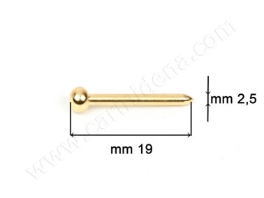 SPILLI OTT. DORATI - TESTA TONDA MM 2.5 x 19