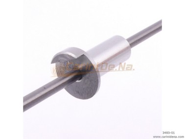 BUSHES ALL PER STRISCETTE PORT. CANTO