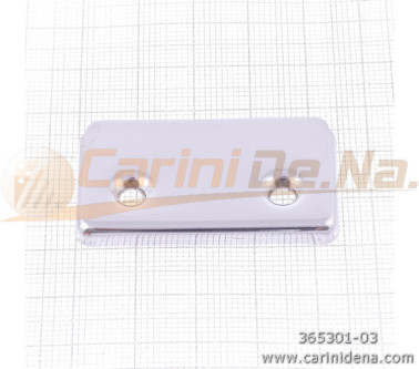 PLACCHETTE SVIZZERE FERRO 43.8 X 25.2 - GREZZE