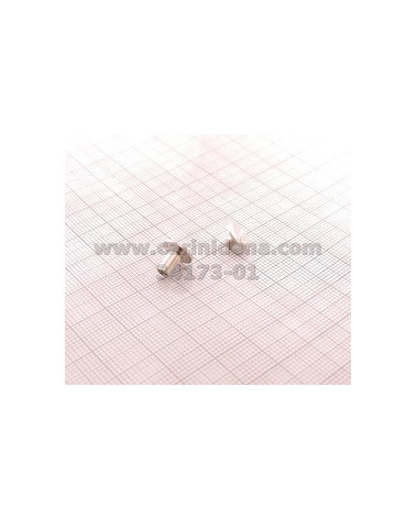 strappino sloveno cuoiofeltro  vite con dado ottone nik