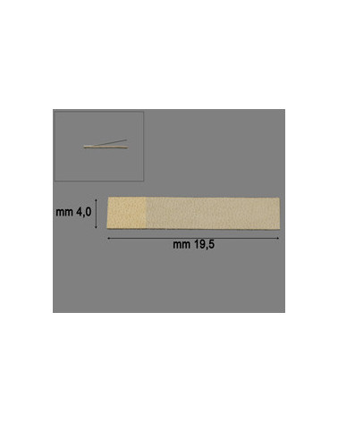 REED VALVE  BAND 21.11 19.5 X 4