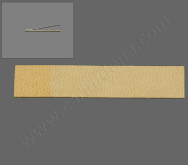 PELLI TAGLIATE + PLASTICA 49X 8.5 TERZETTI