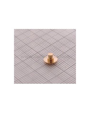 REGISTRI CROMATICI - PERNI OTTONE PER FULCRO LEVE COMANDO D. 7(7-3.9-2.6)X4.3(1.4-1.2-1.7)