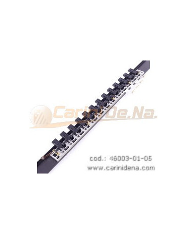 REGISTRI CANTO 13 EFF. IV + M