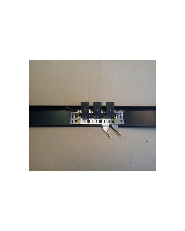 REGISTRI CANTO  3 EFF. II