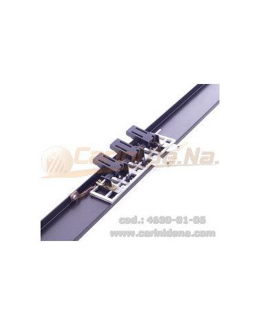 REGISTRI CANTO  3 EFF. II