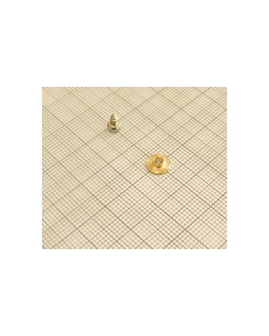 REGISTRI CANTO - VITE E RONDELLA PER LEVE MASTRO A 1 ATTACCHI