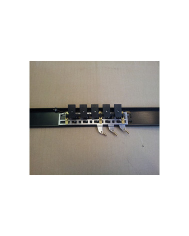 REGISTRI CANTO  5 EFF. III