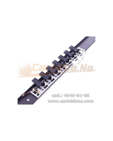 REGISTRI CANTO  7 EFF. III