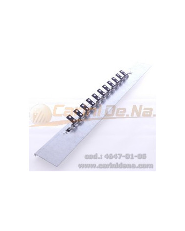 REGISTRI CANTO 11 EFF. IV