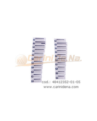 VOCI G CANT DIAT 21/1 (1N) A MANO DIATONICO RE-RE - IRLANDESE