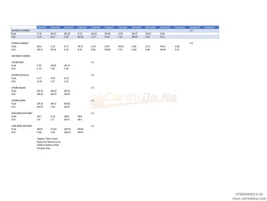 VOCI G DIAT 21/3(3N)16 Arm. 8B TIPO A MANO RE/RE CAGNONI