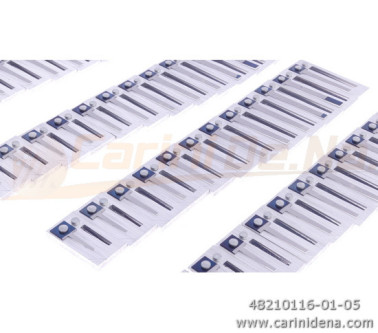 VOCI G CANT DIAT 48/3(3N) A MANO 12-13-12-11 A-D-G-C - STEIRISCHE - BINCI