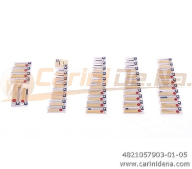 voci g diat 1041b2n1a5 arm 1bb a mano cajun binci re    con pelli e intonazione