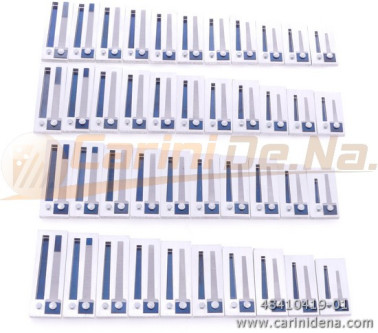 VOCI G CANT DIAT 21/2 (2N) TIPO A MANO DIATONICO B-C