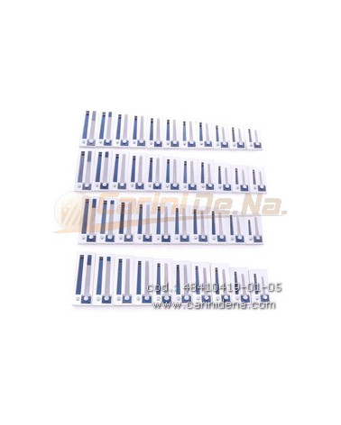 VOCI G CANT DIAT 21/2 (2N) TIPO A MANO DIATONICO B-C