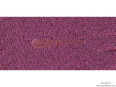 VELO LAME TES. H 150-155 ROSA 09