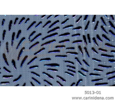 VELO FUORIGROTTA BLU