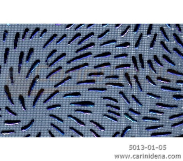 VELO FUORIGROTTA BLU