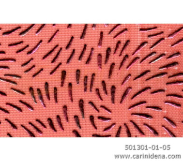 VELO FUORIGROTTA ROSSO