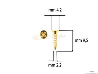 SCREW  SELF-THREADING 2,2X 9,5 TSP GOLD FINISHING