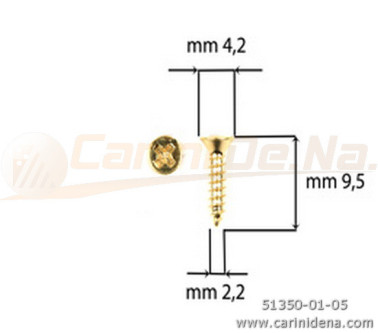 SCREW  SELF-THREADING 2,2X 9,5 TSP GOLD FINISHING