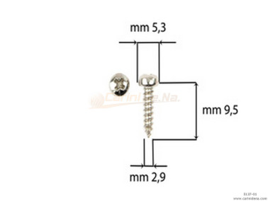 SCREW  SELF-THREADING 2,9X9,5 TC