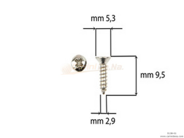SCREW  SELF-THREADING 2,9X 9,5 TSP