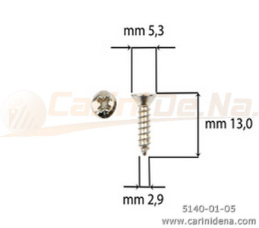 SCREW  SELF-THREADING 2,9X13 TSP