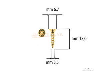SCREW  SELF-THREADING 3,5X13 TSP GOLD FINISHING