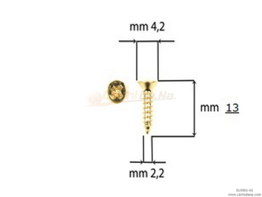 SCREW  SELF-THREADING 2,2X13 TSP GOLD FINISHING