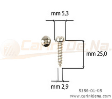 SCREW  SELF-THREADING 2,9X25 TC