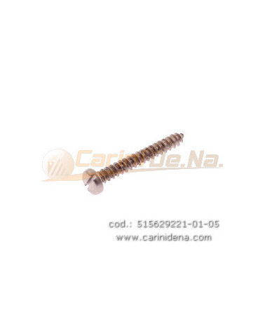 VITI AUTOFILETTANTI 2,9X22 TC TAGLIO