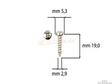 SCREW  SELF-THREADING 2,9X19 TC