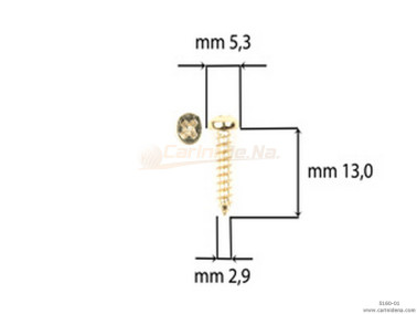 SCREW  SELF-THREADING 2,9X13 TC DORATE