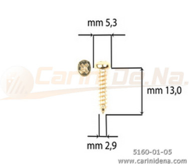 SCREW  SELF-THREADING 2,9X13 TC DORATE