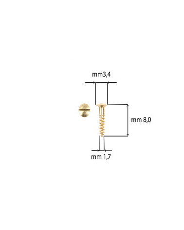 VITI AUTOFILETTANTI 1,7X 8 TGS DORATE