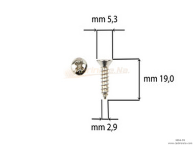 SCREW  SELF-THREADING 2,9X19 TSP