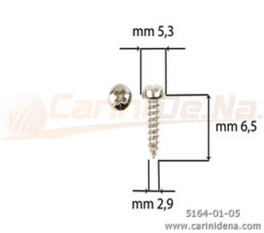 SCREW  SELF-THREADING 2,9X 6,5 TC