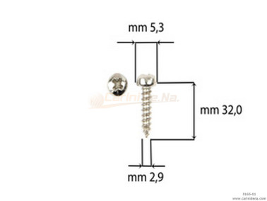 VITI AUTOFILETTANTI 2,9X32 TC