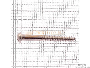 SCREW  SELF-THREADING 2,7X25 TS TAGLIO