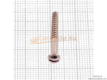SCREW  SELF-THREADING 2,7X25 TS TAGLIO