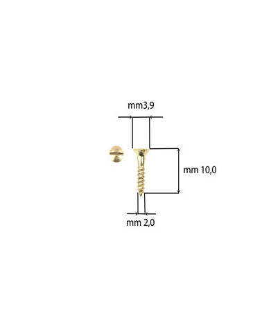 VITI AUTOFILETTANTI 2  X  10 TSP TAGLIO OTTONATE