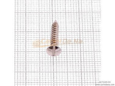 VITI AUTOFILETTANTI 2,5X 7.5 TGS TAGLIO