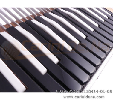 TASTIERA FISA PIANO 29T cm 33,5 F4,5 PALET mm 19x3 DIESIS N.3 SOL-SI PASTELLO NERO 0237-PLAST BIANCO