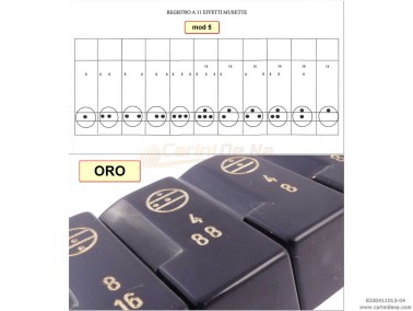 TASTINI REGISTRI SMUSSATI PLASTICA mm 18.2 X 38.8 X 13 LUCIDATI INCISI - KIT 11T 1B3N - MOD. 005 - NERI/ORO