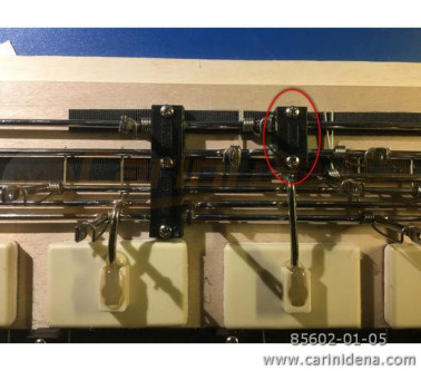 supporti catorcetti plastica 3 fori  coperchio