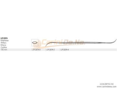 FILE VALLORBE LR12874-2